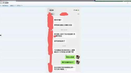 梦幻假赛爆料最新消息,揭秘幕后黑手，揭秘赛事内幕