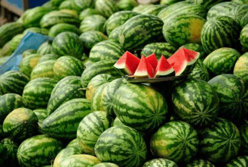 吃瓜有哪些网红,盘点吃瓜网红的崛起与影响力 第3张 吃瓜有哪些网红,盘点吃瓜网红的崛起与影响力 第3张